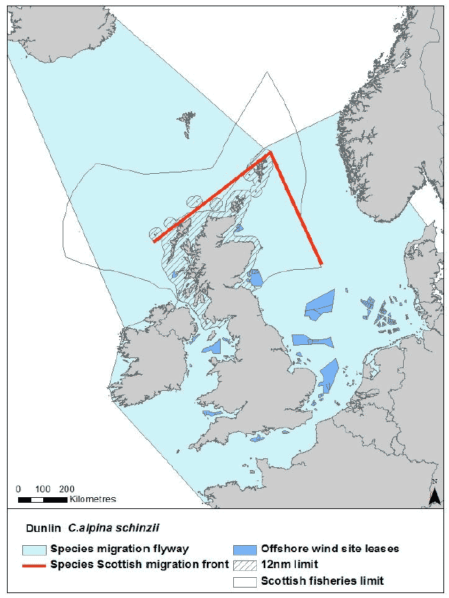 Migration flyway of Calidris aplina schinzii passing Scottish waters Migration flyway of Calidris aplina schinzii passing Scottish waters