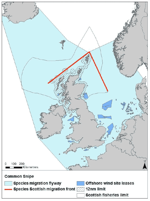 Figure 36: Migration flyway of snipe passing Scottish waters Figure 36: Migration flyway of snipe passing Scottish waters