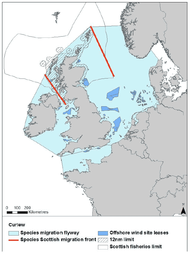 Figure 41: Migration flyway of curlew passing Scottish waters Figure 41: Migration flyway of curlew passing Scottish waters