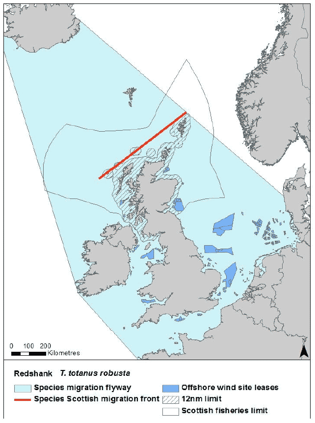 Figure 44: Migration flyway of T. totanus robusta passing Scottish waters Figure 44: Migration flyway of T. totanus robusta passing Scottish waters