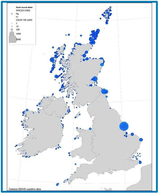 Image H1: Grey Seal Breeding Colonies in the UK