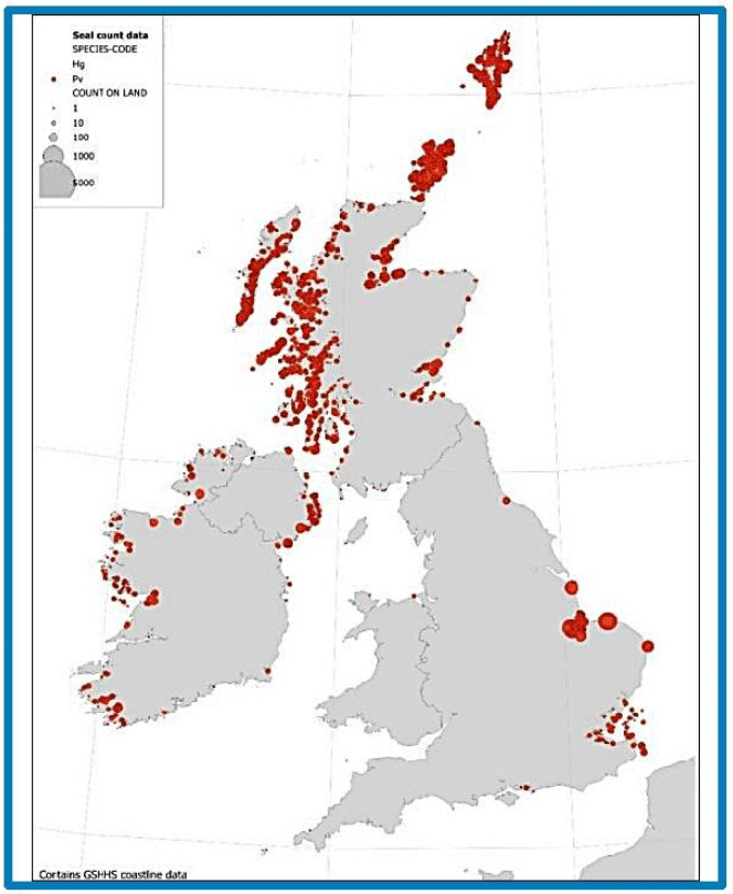 Image H3: Haul-out count data for harbour seals between 1996 and 2015