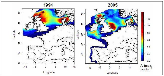 Image H8: Modelled Density of Harbour Porpoise in 1994 SCANS and 2005 SCANS Surveys