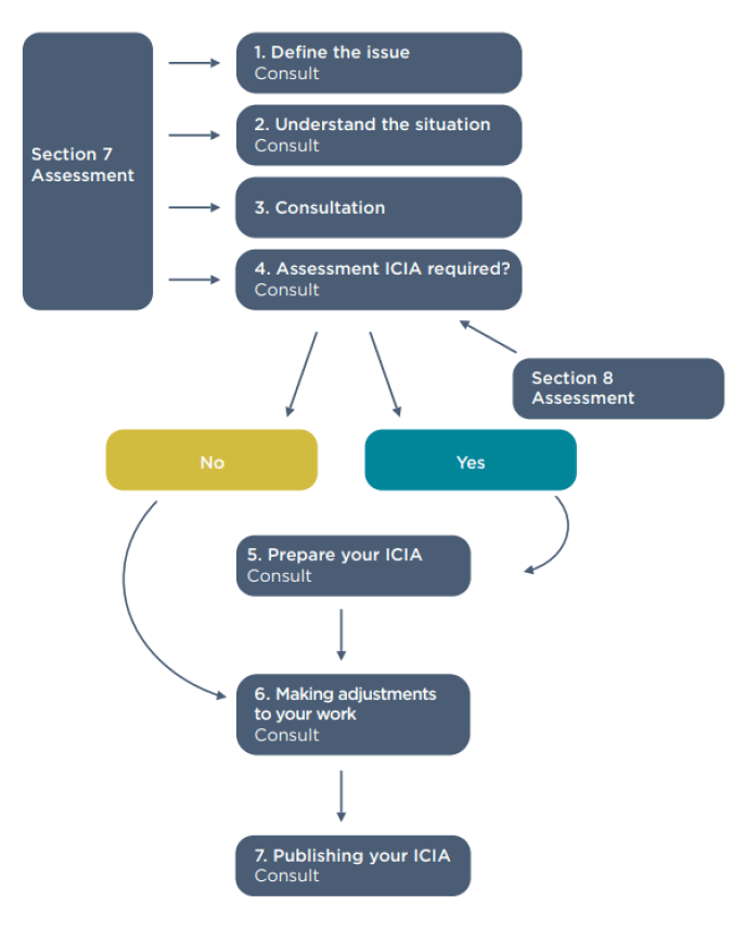 Flow diagram showing the Island Community Impact Assessment process from initial scoping to publication. 