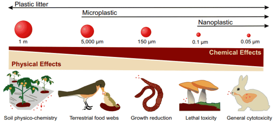 Chart showing the potential for physical and chemical effects of plastic at different plastic size (litter, microplastic and nanoplastic)