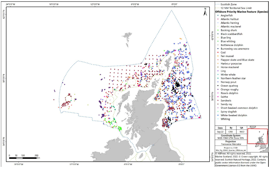 GEMS species data in offshore Scottish waters

Map of Scotland's seas showing Priority Marine Features (species) in the inshore region. This data is also available on NMPi.