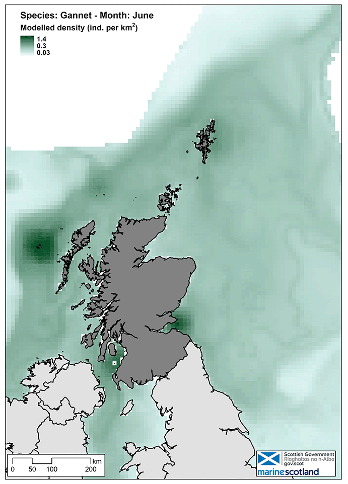 Map of northern gannet density in Scottish waters in June. Density is greatest in southeast Scotland and in waters around St Kilda.