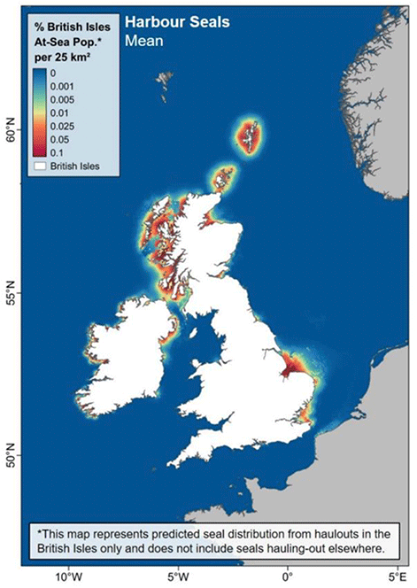 A map of the UK and Ireland showing predicted harbour seal densities at sea. Densities are highest around major haul out sites and decrease with distance from coast.