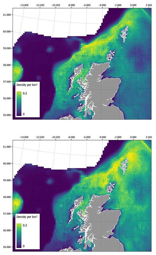 Two maps of Scotland showing predicted white beaked dolphin densities in January and July. Densities are highest in the north sea region immediately east of Aberdeenshire and Moray, and along frontal features west of the outer Hebrides. Densities are somewhat comparable between seasons with a slight increase in July when compared with January.