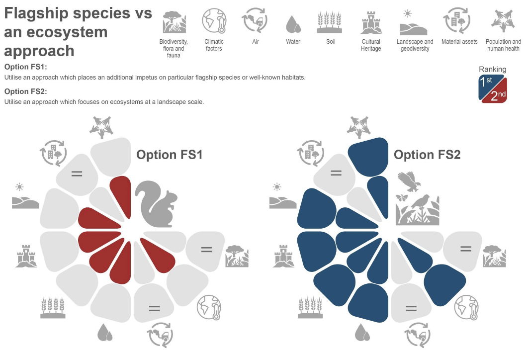 Diagram summarising the findings relating to the assessment of a flagship species approach for the SBS compared to an ecosystem approach.