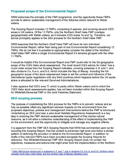 Statutory consultees formal response on the Scoping Reports for the Strategic Environmental Assessment (SEA) relating to the draft Fisheries Management Plans (FMPs) for demersal fish stocks coordinated by the Scottish Government.