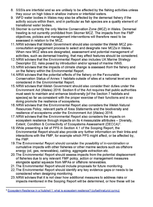 Statutory consultees formal response on the Scoping Reports for the Strategic Environmental Assessment (SEA) relating to the draft Fisheries Management Plans (FMPs) for demersal fish stocks coordinated by the Scottish Government.