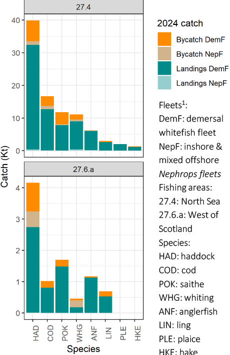 Two bar graphs showing Scottish landings and bycatch weights for demersal fish species, by fleet and fishing area.