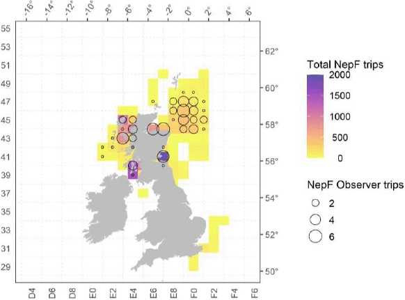 Heat map showing total number of fleet vs observer trips for Nephrop fisheries.