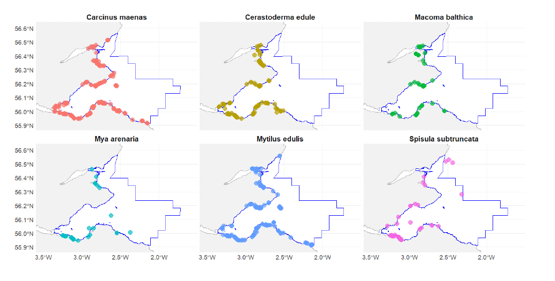 A six-panel distribution plot of benthic species within the Outer Firth of Forth and St. Andrews Bay Complex SPA. The species represented are Carcinus maenas, Cerastoderma edula, Macoma balthica, Mya arenaria, Mytilus edulis and Spisula subtruncata. All are widely distributed in the SPA.