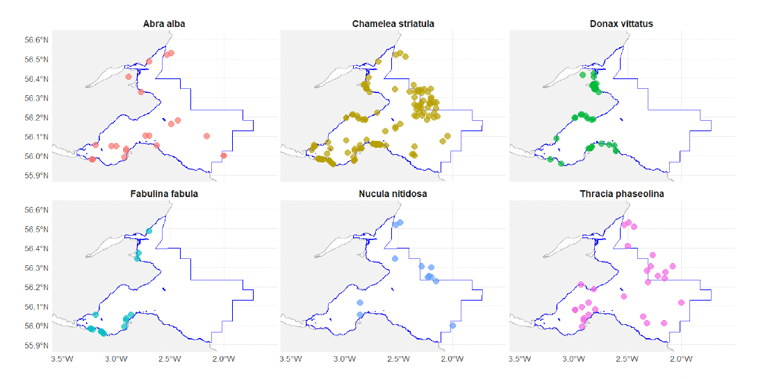 A six-panel distribution plot of bivalve species within the Outer Firth of Forth and St. Andrews Bay Complex SPA. The species represented are Abra alba, Chamelea striatula, Donax vittatus, Fabulina fabula, Nucula nitidosa and Thracia phaseolina. All are widely distributed in the SPA.