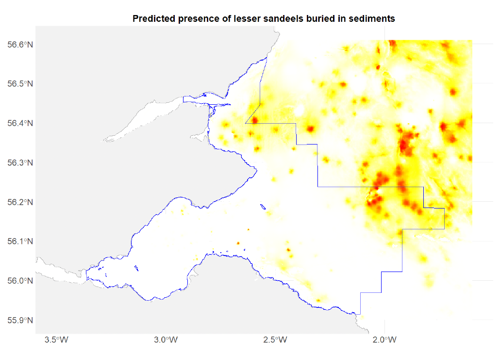 A map of the predicted probability of presence of lesser sandeels ammodytes marinus in the north sea with the outer firth of forth and st andrews bay SPA boundary overlaid. The main aggregations of sandeels are in the offshore and St. Andrews bay portions of the SPA. 