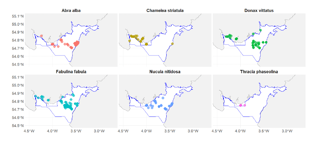 A six-panel distribution plot of benthic bivalve species within the Solway Firth SPA. The species represented are Abra alba, Chamelea striatula, Donax vittatus, Fabulina fabula, Nucula nitidosa and Thracia phaseolina. All are widely distributed in the SPA.
