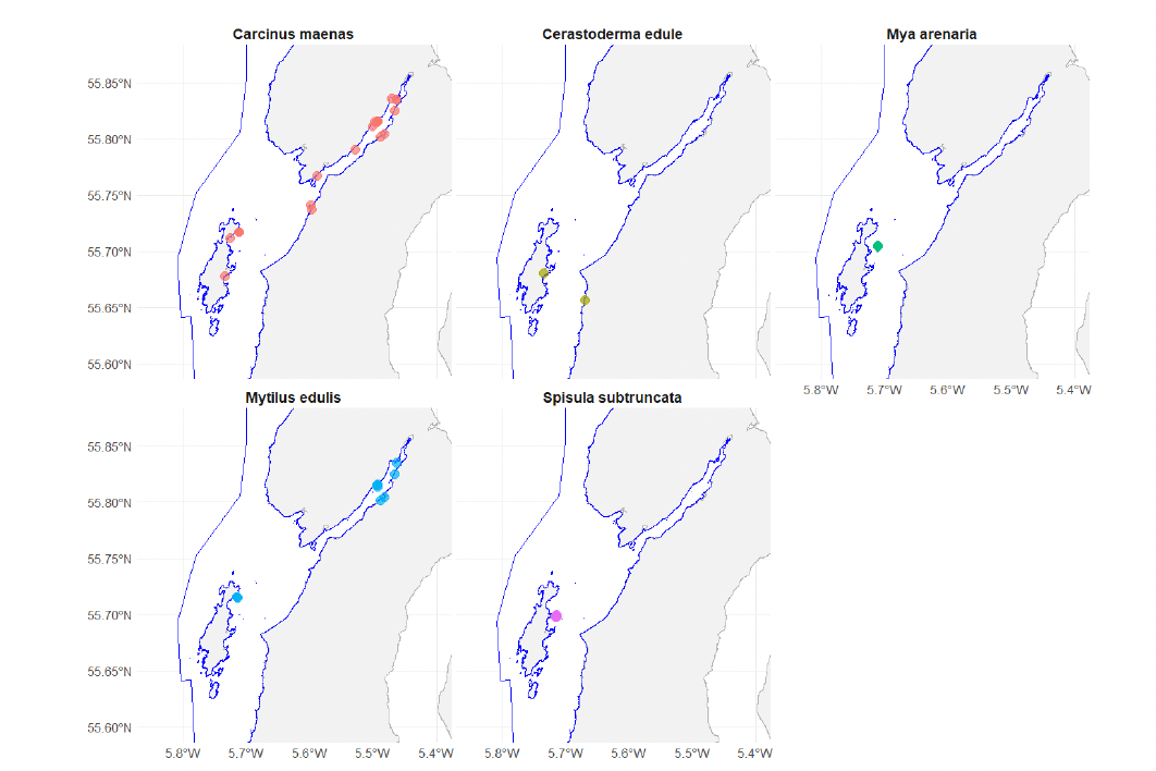 Distribution of six benthic prey species across the Sound of Gigha SPA