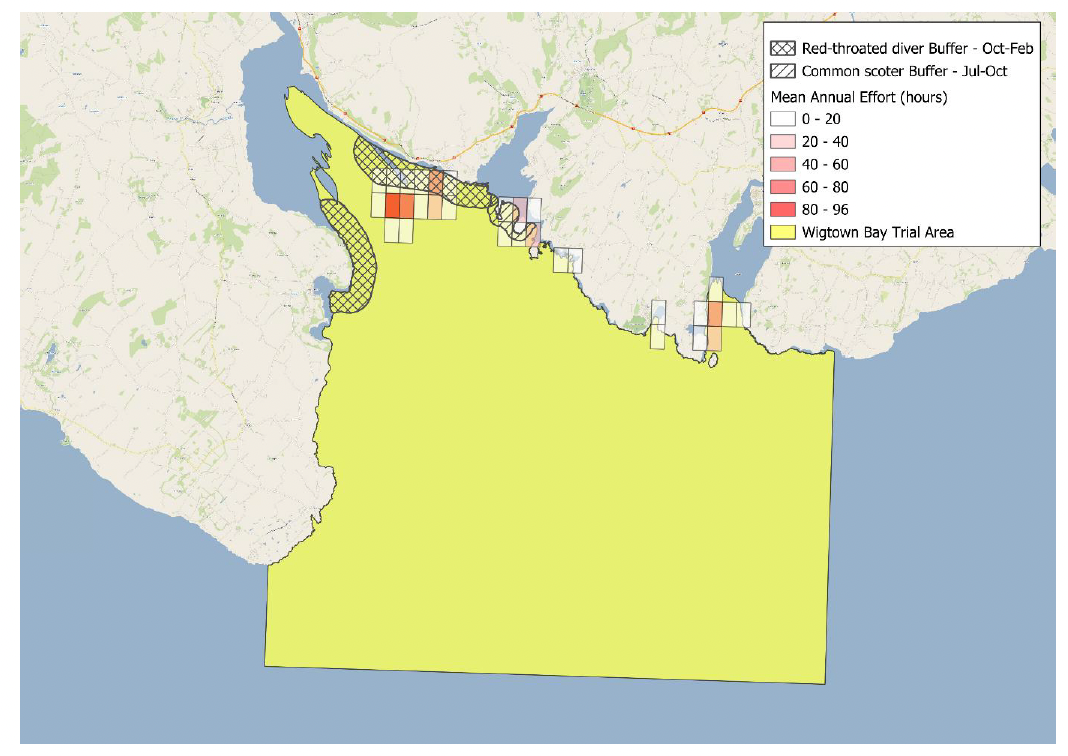 A map of Wigtown Bay Trial Area showing two areas that will be closed to fishing - in Wigtown Bay itself from October to February and around the Islands of Fleet from July to October.