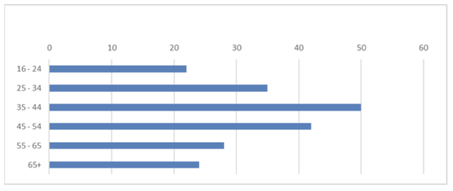 Graph showing the number of respondents in each age category.
