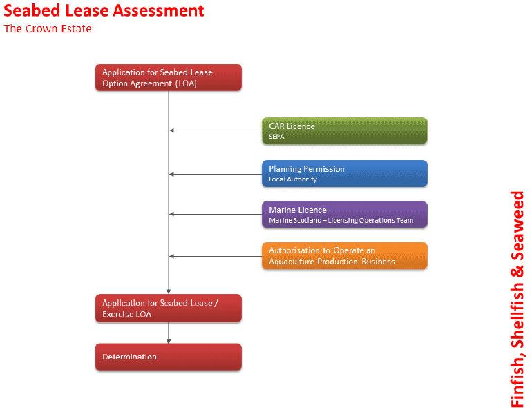 Figure 4.7. Process to obtain a seabed lease Figure 4.7. Process to obtain a seabed lease