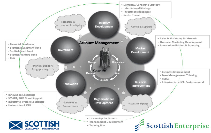HIE/SE Account Management &ndash;Account Team Approach