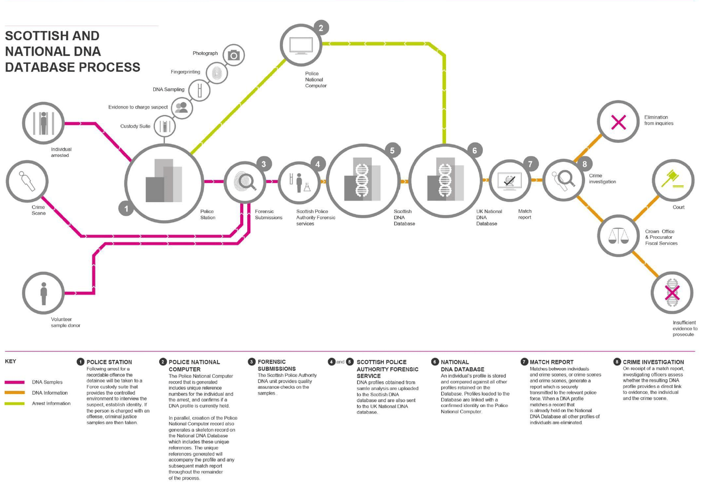 Scottish and National DNA Database Process