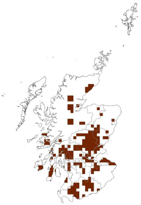 Figure 35 Distribution of fallow deer in Scotland