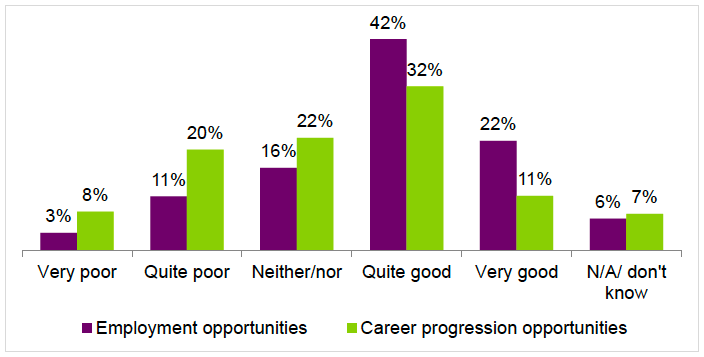 Figure 4.10: Local employment and career progression opportunities in social care