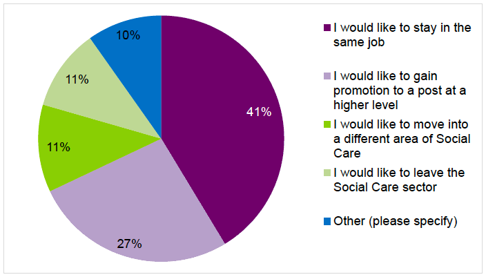 Figure 6.3: Future ambitions of social care employees