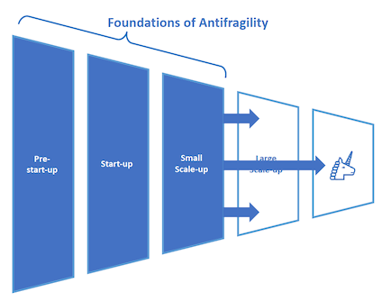 This diagram shows an anti-fragile ecosystem, with the first three stages of the ecosystem funnel, the ‘pre start up’, ‘start-up’, and ‘small scale-ups’ highlighted as ‘foundations of antifragility’.