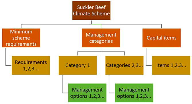 The graphic shows the individual components of the proposed suckler beef climate scheme.  These components cover three areas, the first are minimum scheme requirements, the second the managements categories and options, the third and final area covering investment in capital items.