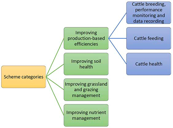 The graphic illustrates the general approach to management options flowing from scheme categories using Improved production based efficiencies and associated actions around cattle breeding, cattle feeding and cattle health as an example.