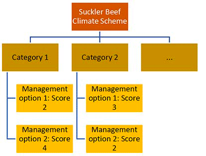 This graphic illustrates how a scoring system could build a picture of business performance across different management options and within different management categories.  Thus providing a useful basis and starting point for businesses to easily identify individual management options or categories where they are currently achieving a higher score, i.e. where there is a greater opportunity to improve the current business performance.
 
