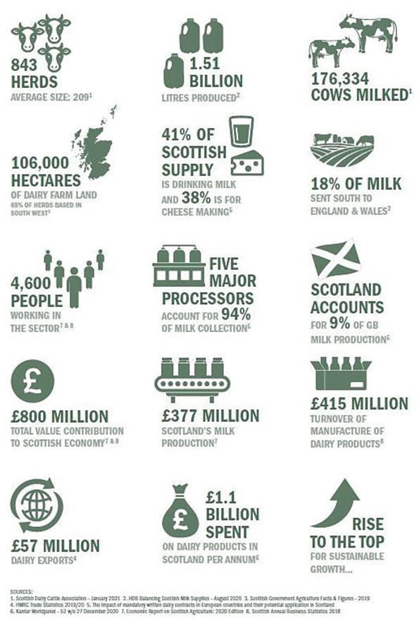 Graphic showing general statistics relating to the Scottish dairy sector