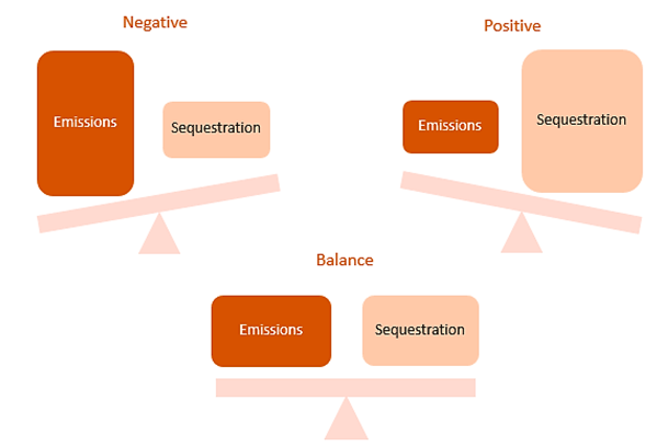 Graphic illustration of negative, positive and balanced states of carbon capture