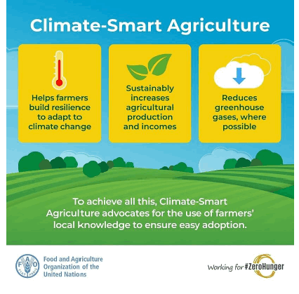 Illustration outlining the key principles of climate smart agriculture