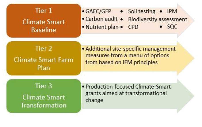 Diagram outlining a tiered approach to implementation of the recommendations of the Arable CC Group