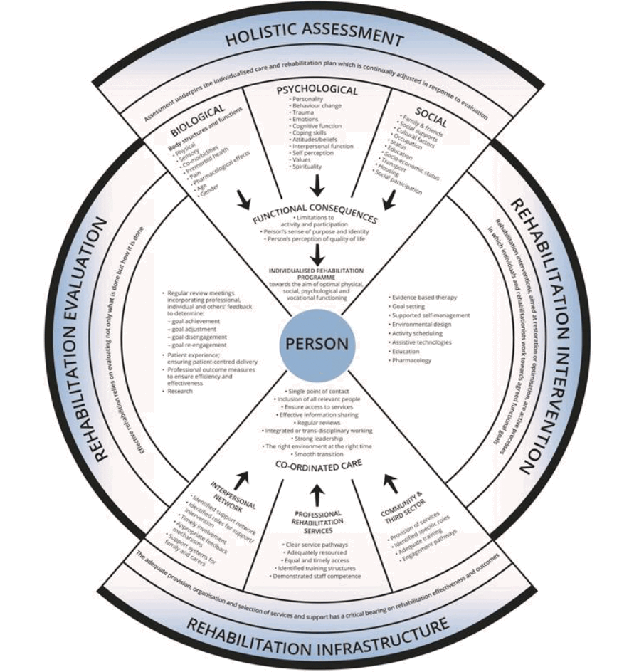 The holistic model of stroke rehabilitation places the patient at the centre of the rehabilitation process and sets out the characteristics of four key interdependent areas that provide the foundations for stroke rehabilitation services: holistic assessment, interventions, infrastructure and evaluation. Holistic biopsychosocial assessment seeks to understand the diverse range of factors that influence how each individual is affected by their stroke. A comprehensive assessment allows a personalised goal-driven, evidence-based rehabilitation programme to be planned, and implemented at the right time by the most appropriate service. Individualised care and rehabilitation plans are continually adjusted though regular assessment of progress towards rehabilitation goals, incorporating patient and professional perspectives. The model identifies the key components of service infrastructure required to implement the holistic approach.