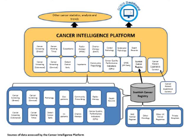 Chart showing the structure and assets that are intended to be available to a Cancer Intelligence Platform.