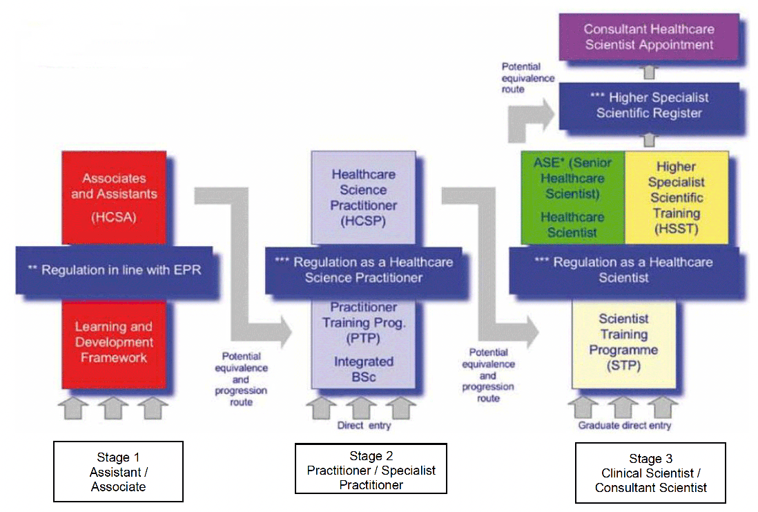 pictorial representation of the Modernising scientific career framework outlining the three different stages – assistant and associate practitioner; healthcare science practitioner and Clinical Scientist / Consultant; the progression between each stage and entry routes to each stage