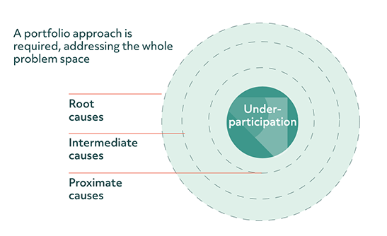 Circular diagram illustrating the impact of addressing all causes of under-participation.