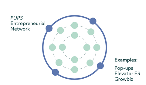 Diagram of 3 concentric circles with the outer layer representing the pop up pre-starts entrepreneurial network. Examples of supports in this layer are given as Pop-Ups, Elevator E3 and Growbiz.