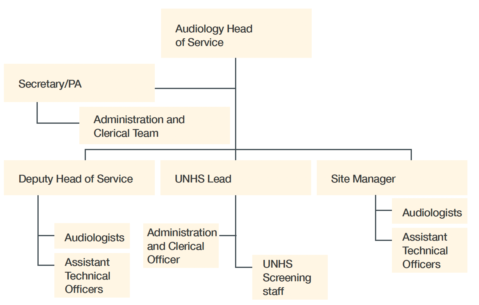 image shows a typical structure for an audiology service within Health Boards.