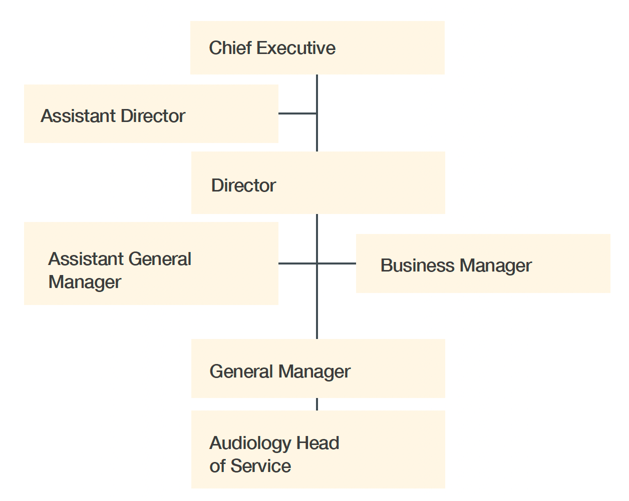 Image shows internal governance structure for audiology services within Health Boards.