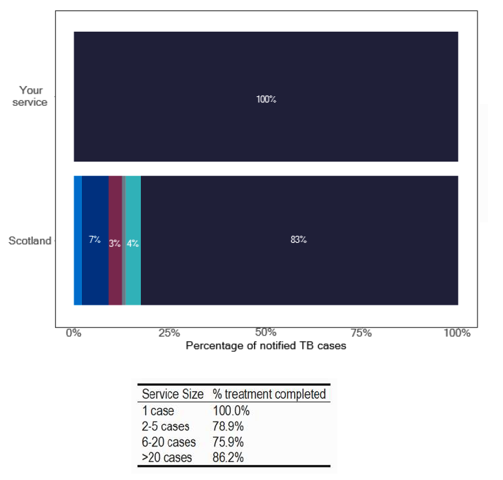 A bar chart showing 12-month treatment outcomes for TB patients. Several services achieved the target of over 85% treatment success.
