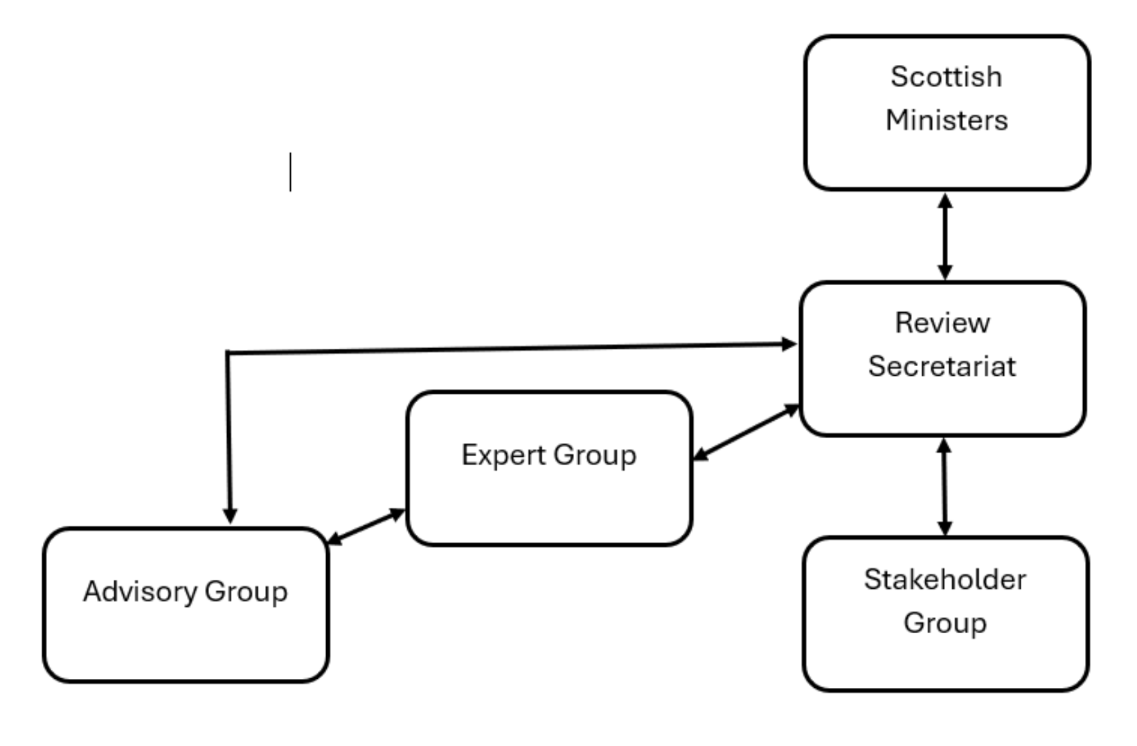 A diagram of the Abortion Law Review Expert Group governance structure.