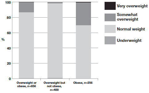 Figure 5.1 Mother's description of their child's weight, according to the child's BMI classification at age 6