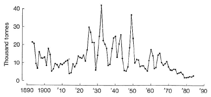 Figure 6.2 Herring landings in the Firth of Clyde (1000 tonnes) 1890-1984 (Source, Bailey et al., 1986). Figure 6.2 Herring landings in the Firth of Clyde (1000 tonnes) 1890-1984 (Source, Bailey et al., 1986).